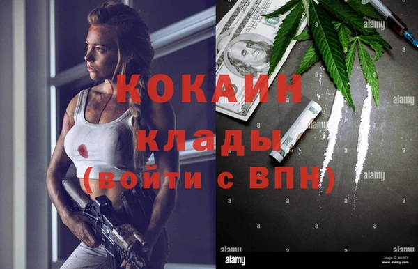 сатива Пролетарск